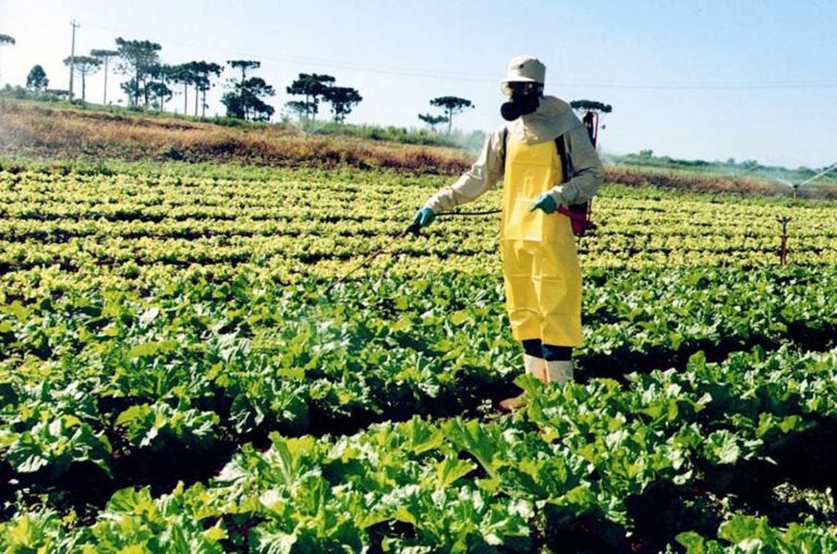 Saiba como aplicar corretamente defensivos agrícolas